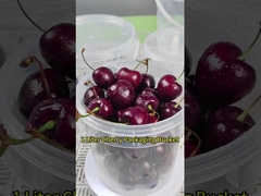 1L πλαστικό κουβά για συμπυκνωμένο γάλα μέλι παγωτό τροφική ποιότητα καθαρό δοχείο αποθήκευσης